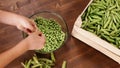 Young girl hands shelling peas into glass bowl