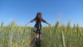 A young girl happily walking in slow motion through a field touching with hand wheat ears. Beautiful carefree woman Royalty Free Stock Photo