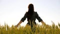 A young girl happily walking in slow motion through a field touching with hand wheat ears. Beautiful carefree woman Royalty Free Stock Photo