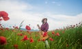 Young girl in hat walk in meadow. vacation. sense of freedom. beautiful woman gather red poppy flower bouquet in field Royalty Free Stock Photo