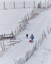 Young girl having fun with sleigh and dog