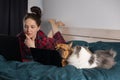 Young girl, her dog french bulldog and fluffy cat work at home in bed during quarantine Royalty Free Stock Photo