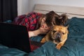 Young girl and her dog french bulldog working in bed at a laptop during quarantine Royalty Free Stock Photo