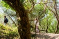 Young girl and her mother visiting the current Huchet nature reserve in the south west of France