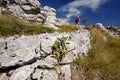 Young girl hiking on Premuzic's trail