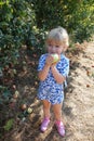 Young girl holding apple Royalty Free Stock Photo