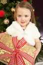 Young Girl Holding Gift In Front Of Christmas Tree Royalty Free Stock Photo