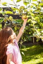 Young girl holding green apple growing on tree Royalty Free Stock Photo