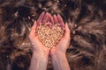 Young girl holding heart-shaped grain of wheat in a field in her hands Royalty Free Stock Photo