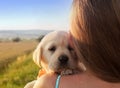 Young girl holding her puppy dog on her shoulder - close up Royalty Free Stock Photo