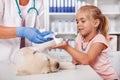 Young girl holding the paw of puppy dog - helping the veterinary care professional to apply the bandage strip