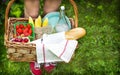 Young girl holding a picnic basket with food Royalty Free Stock Photo