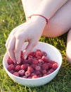 Young girl holding a plate of raspberries, sitting on green grass, summer, dessert