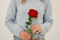 Young girl holding a red rose in her hand. Gift for Valentine& x27;s day, Royalty Free Stock Photo