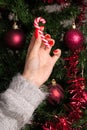 Young girl holding red white lollipop for Christmas tree decoration Royalty Free Stock Photo