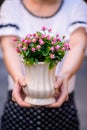 Young girl, holding vase with fresh spring flowers Royalty Free Stock Photo