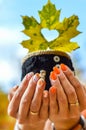 Young girl holding a warm cup with leaf Royalty Free Stock Photo