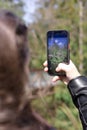 young girl holds phone her hands takes pictures of nature. View from the girl's shoulder. Dark hair, autumn Royalty Free Stock Photo