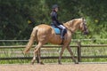 Young Girl Horse Equestrian Royalty Free Stock Photo