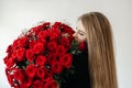 A young girl with a huge bouquet of red roses. Happy woman smelling flowers. Gifts for holidays and birthdays Royalty Free Stock Photo