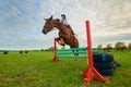 Young girl jockey and her horse jumper