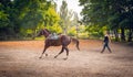 Young girl jockey and racehorse