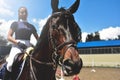 Young girl jockey trains horse to horse racing at summer. close-up photo Royalty Free Stock Photo