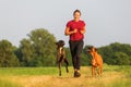 Young girl jogs with two boxer dogs Royalty Free Stock Photo