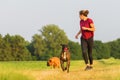 Young girl jogs with two boxer dogs Royalty Free Stock Photo