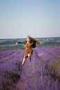 Young girl jumping on a lavender field. Royalty Free Stock Photo