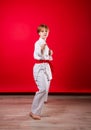 Young girl karateka in a white kimono and a red belt trains and performs a set of exercises on a bright red background Royalty Free Stock Photo