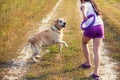 Young girl with dog walking on the field Royalty Free Stock Photo