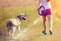 Young girl with dog walking on the field Royalty Free Stock Photo