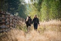 A young girl leads her horse by the bridle along a path along the fence