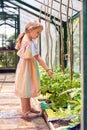 Young Girl Looking At Tomato Plants In Greenhouse At Home