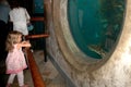 Young girl looks at leopard sharks in kelp forest exhibit in Monterey Bay Aquarium Royalty Free Stock Photo