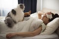 A young girl is lying in bed with heat, her French bulldog and a fluffy cat helps her. Coronovirus patient Royalty Free Stock Photo