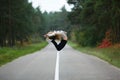 Young girl makes splits Royalty Free Stock Photo