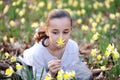 Young girl in the middle of daffodils Royalty Free Stock Photo