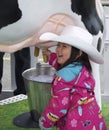 Young Girl Milking a Cow