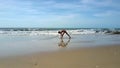 Girl Does Bodily Exercise on Seashore under Sun Shine