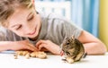 Young girl observe the degu squirrel Royalty Free Stock Photo