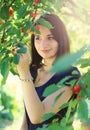 Young girl picking cherry from cherry tree Royalty Free Stock Photo