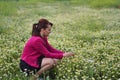 The young girl is picking daisies while taking photos outdoors i Royalty Free Stock Photo