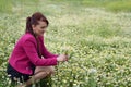 The young girl is picking daisies while taking photos outdoors i Royalty Free Stock Photo