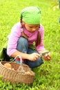 Young girl picking mushrooms Royalty Free Stock Photo