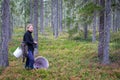 A young girl picks blueberries in a Finnish forest using a Thai comb tool Royalty Free Stock Photo