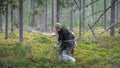 A young girl picks blueberries in a Finnish forest using a Thai comb tool Royalty Free Stock Photo