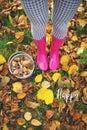 A young girl in pink rubber boots, a basket of mushrooms stands on the ground. Lettering Happy Royalty Free Stock Photo