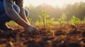 Young girl planting small samplings on the soil, Gloved caring hands, ecosystem preservation, and deforestation concept